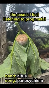 12K views · 294 reactions | The Circle Pit on Reels | Facebook