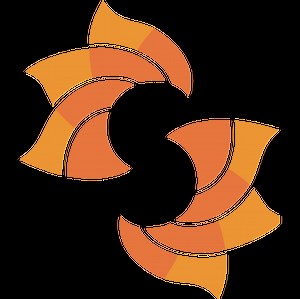 11 pin micro usb (female) to 5 pin micro usb (male) adapter or extension