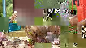 229K views · 1.7K reactions | Cleaning four killer clusters from the Zigras mine at our warehouse in Arkansas! * * * * * * * #crystals #quartz #crystal #nature #metaphysical #arkansas | Avant Mining LLC | Facebook