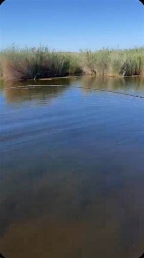 ЗАВИДОВО. ТРОФЕЙНАЯ РЫБАЛКА, БАЗА В ЮЖНОМ ПРИБАЛХАШЬЕ on Instagram: "🐟Принимаем брони. Ольга: +7 (705) 249-44-99 Константин: +7 (705) 309-55-55"