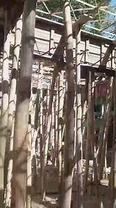 Structural Work on Progress | Creative Design Zone