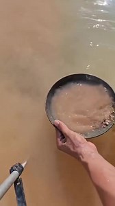 The Gold | Amazing Life Channel