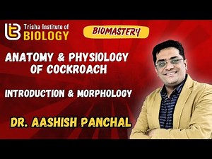 INTRODUCTION & MORPHOLOGY OF COCKROACH
