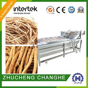 [Hot Item] Peanut Potato Ginger Brush Washing Cleaning Machine Vegetable/Fruit Washing Processing Line