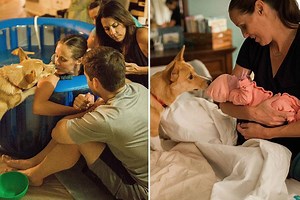 Heartwarming pics show how corgi stuck by owner’s side through home birth