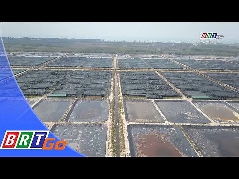 Hiệu quả mô hình nuôi tôm công nghệ cao | BRTgo
