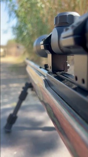 Pimped out Marlin Model 60