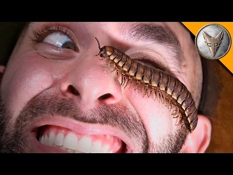 Aliens in the Jungle?