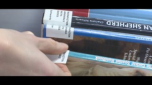 Greenwood library ditching Dewey Decimal System