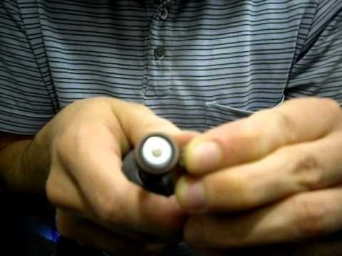 Preparing Ziziphus mauritiana (Indian Jujube) for germination