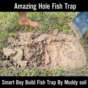 126K views · 317 reactions | Amazing Hole Fish Trap | DT Crafts | Facebook