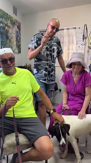 190 reactions · 20 shares | THANK YOU Canicross Malta For giving our Homeless dogs A chance to SHINE  @fabiospiteri | MSPCA | Facebook