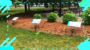 13 reactions | StoryWalk® is a TD Summer Reading Club_Club de lecture...