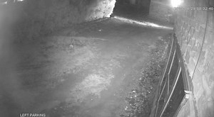 14K views · 184 reactions | Hawa jamaa sio watu wazuri kabisa. | Global Publishers | Facebook