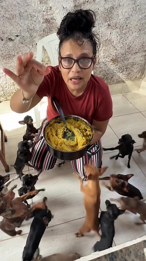 Alimentando meus bebês pinschers com carinho