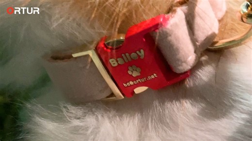 1.6K views · 28 reactions | Creates Collar for your pet~ Simple creation with ortur H10. Create your pet's own collar. Have you made similar items? Let‘s do it. ：https://bit.ly/3QRhZJC #ortur #ortur20W #laser #H10 #engraving #lasermachine #dogcolloar #pet #petlover #doglover #laser #laserengraving #engravingmachine | Ortur | Facebook