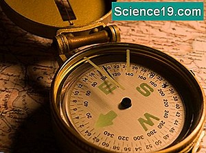 Mühendis Pusula Nasıl Okunur 💫 Bilimsel Ve Popüler Multimedya Portalı. 2025