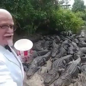 58K views · 87 reactions | WHAT is this Madness?! | Viranimals | Facebook