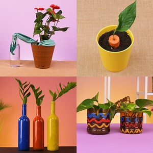 Spring hacks for a beautiful garden🪴🌺 | Creative Bee