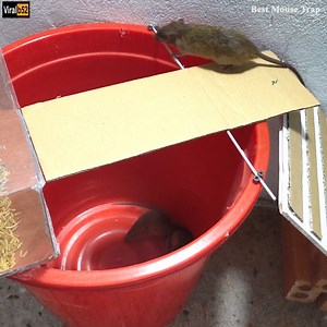 8.9K views | Mouse Trap 2019 Homemade/How to make a Mouse Rat Trap With Papper easiest/Electric Trap Credit: Best Mouse Trap - youtu. be/SKmSQzCtrU8 | Sarcashit | Facebook