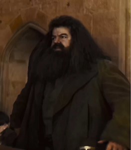 Funny Harry Potter BBQ Moments with Hagrid
