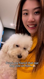 132K views · 3.9K reactions | Dog pee prank on my fiancée#reelsfb #couple #prank | Nickandcarrie | Facebook