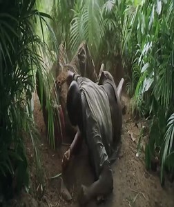 Top new movie clips Netflix 2024 | Movie C4K