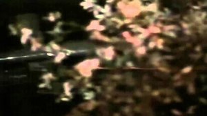 Twilight Zone accident - Alchetron, The Free Social Encyclopedia