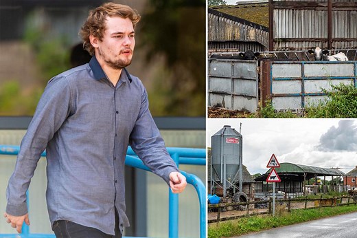 UK Man Pleads Guilty To Having Sex With A Cow