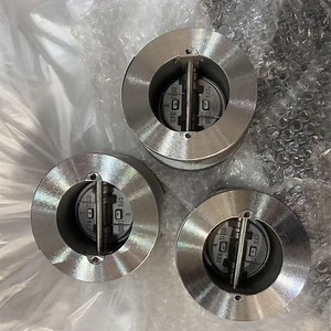 [Hot Item] ANSI 150 ASTM A351 CF8 Body API594 Dual Plate Check Valve