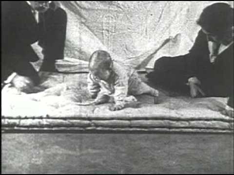 Watson & Rayner - Little Albert