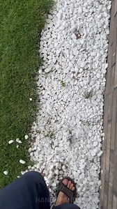 Upgrading The Backyard | Handy Panda