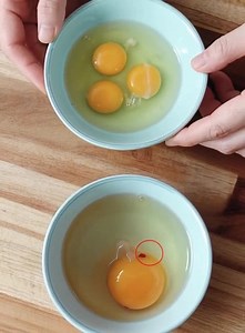 Filaments blancs et taches rouges dans l'œuf : qu'est-ce que c'est et devriez-vous vous en inquiéter ? Peut-on manger ces œufs ? 🤔 Détails dans les commentaires. ⬇️⬇️⬇️ | Codes de meufs