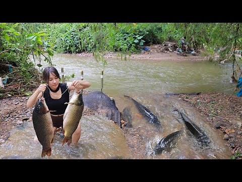 Beautiful Girl Fishing Skills | Catching Big Fish in the Wild Adventure