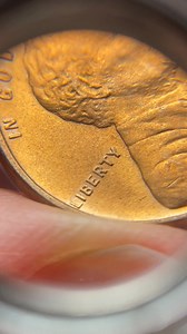 16K views · 206 reactions | 1909 VDB DDO Wheat Cent #coins #numismatics #coincollector #silver | Regency Coins | Facebook