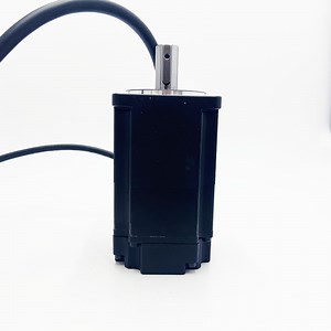 [Hot Item] High Precision Brushless Electric DC Gear Motor 12V 24V 48V 220V 380vbldc Motor with Encoder