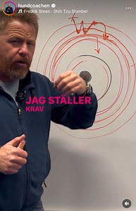 26K views · 313 reactions | ❤️ | Fredrik Steen Officiell sida | Facebook