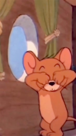 4.6K views · 43 reactions | His name is Boone the Tom and I had the privilege of soaking up all his love today during our adoption photo shoot! While we are working on posting him for adoption, this young sweetheart moved to the adoption floor today! Drop by or call us if you’re interested! | HALO No-Kill Rescue Shelter | Facebook