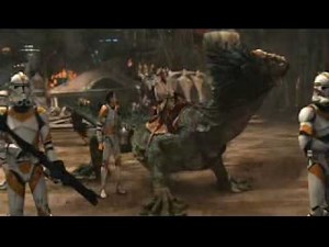 Commander Cody Tribute