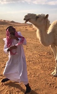 Bugs, Bothers & Blunders | Peachy