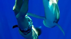 “He looked away for one second” and the shark struck