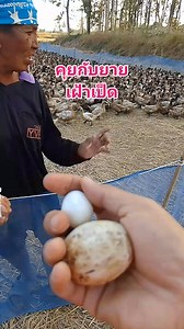 427K views · 2.9K reactions | #วิถีชีวิตคนเลี้ยงเป็ด #เกษตรผสมผสาน #คลิปสั้นreels #คลิปปังขึ้นฟีด #nature | Pin Pin | Facebook