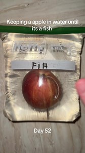 #dubistgutgenug #gutgenug #pleasedontflop #appleexperiment #appleinwater