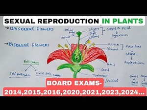 Reproduction in Flowering Plants Class10 Biology Pollination Unisexual and Bisexual Flowers