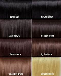 Medium Brown Vs Chocolate Brown Google Search In 2020 Hair Color