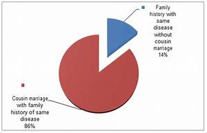 Pie Chart Showing Marriage History Fig 16 Disease History Of The