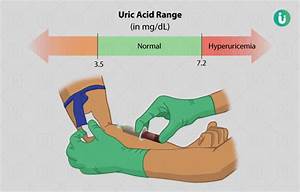 Uric Acid Test Procedure Purpose Results Normal Range Cost Price