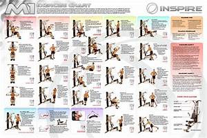 Inspire Fitness Downloads Workout Chart Gym Workout Chart Home Gym