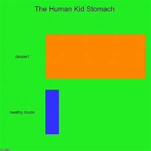 The Human Kid Stomach Imgflip
