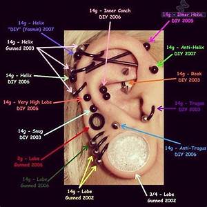 Ear Piercing Chart Ear Piercing Diagram Piercing Chart Ear